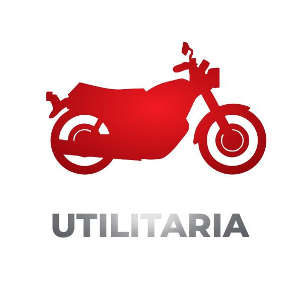 Moto utilitaria qingqi